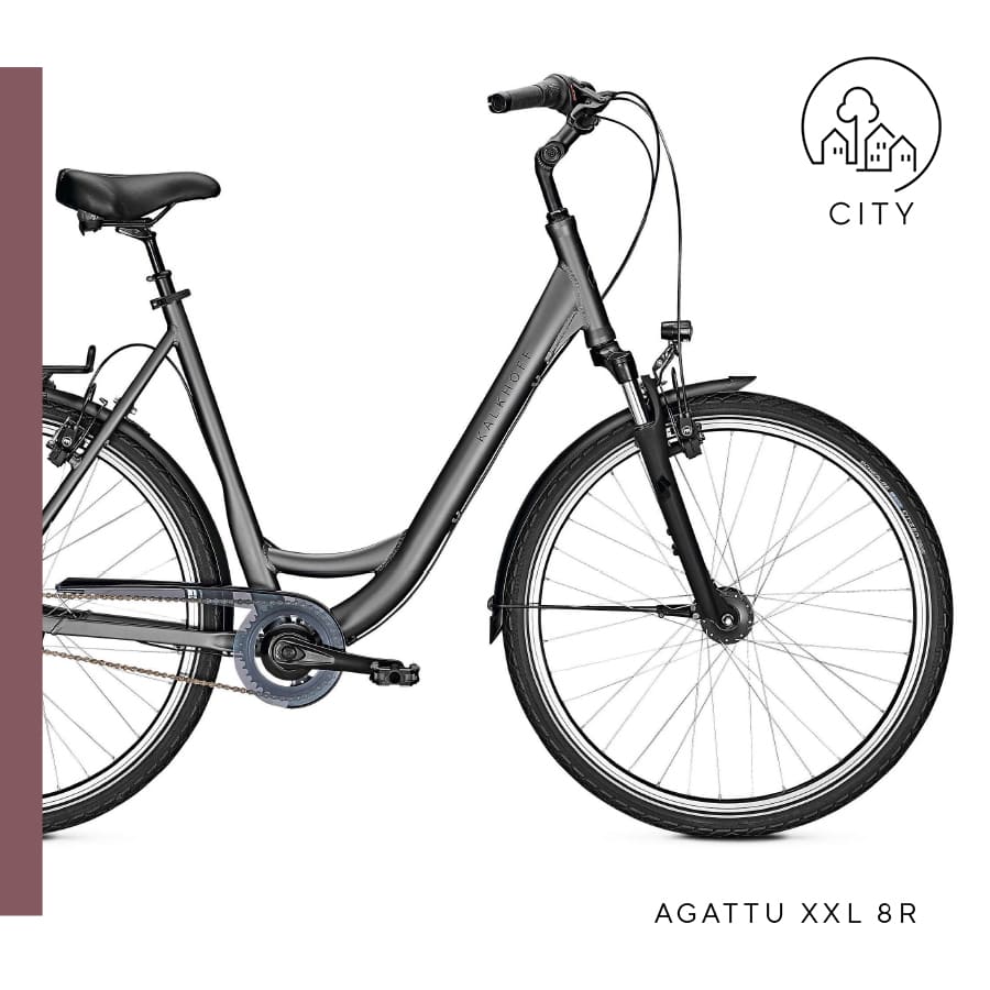 fahrrad xxl 170 kg in mutterstadt