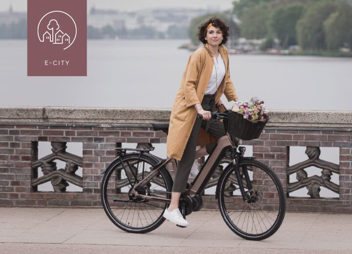 kalkhoff trekking bike